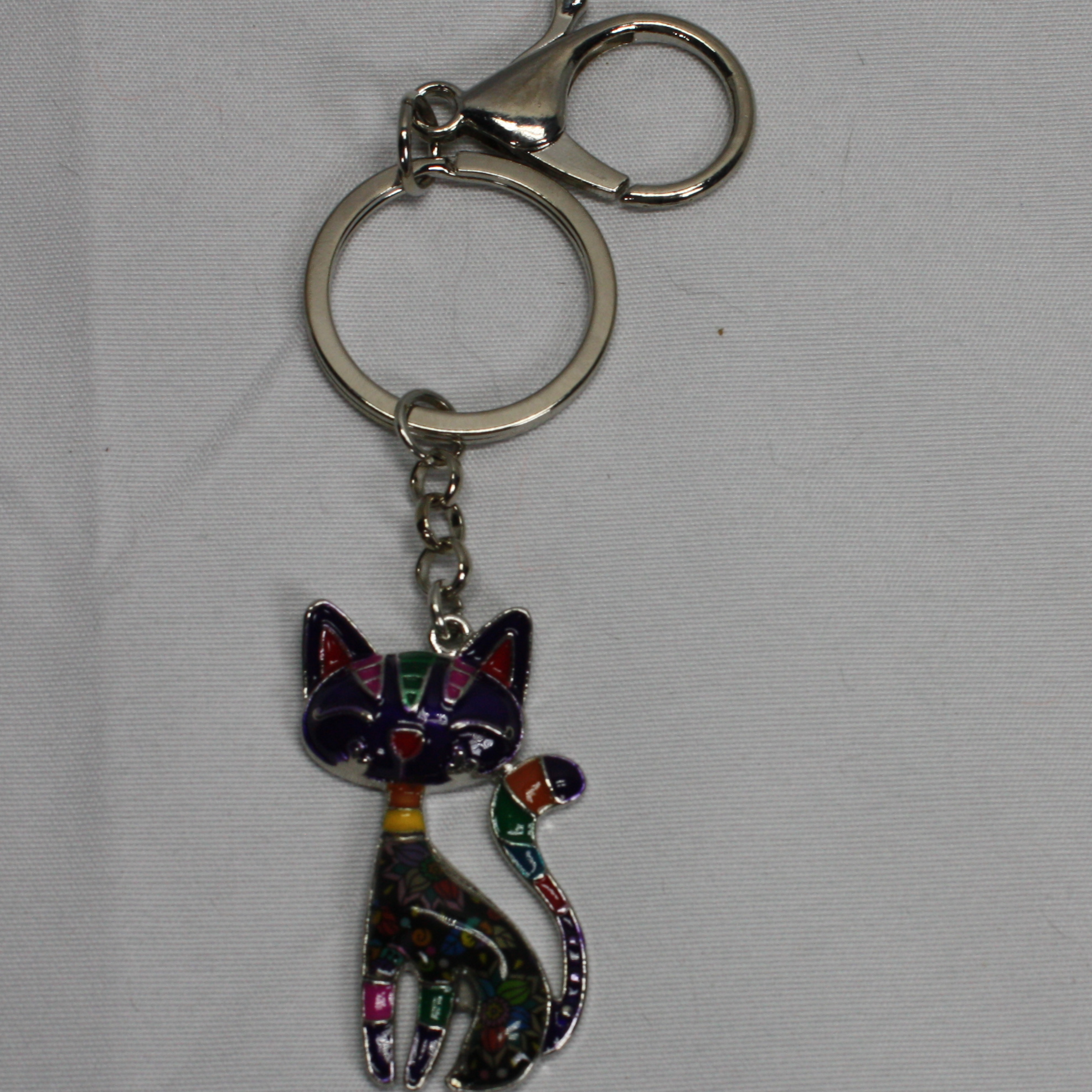 Colorful Key Chain